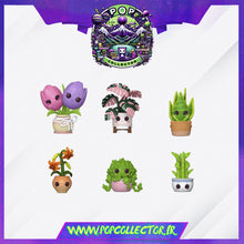 Load image into Gallery viewer, Funko Pop Mystery Flora – Modèle Aléatoire PRECOMMANDE SEPTEMBRE 2026
