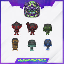 Load image into Gallery viewer, Funko Pop Mystery Warner Bros Horror – Modèle Aléatoire PRECOMMANDE SEPTEMBRE 2026
