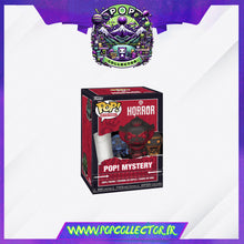 Load image into Gallery viewer, Funko Pop Mystery Warner Bros Horror – Modèle Aléatoire PRECOMMANDE SEPTEMBRE 2026
